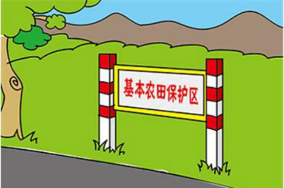以基本农田保护名义实施的拆迁，何去何从？