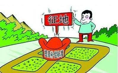 征地律师