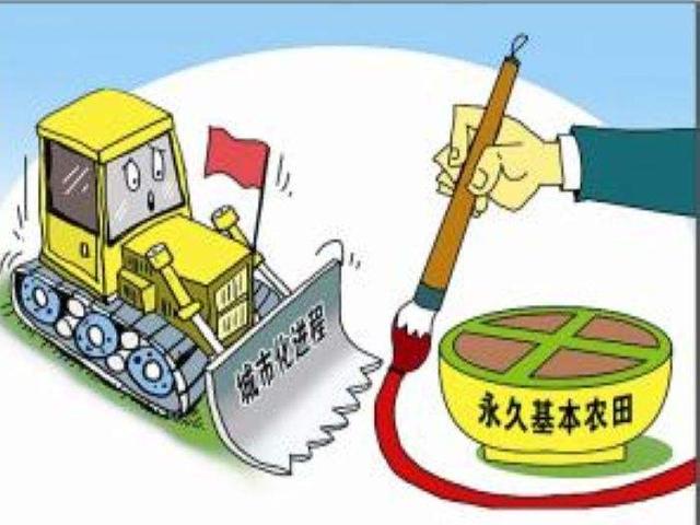 征地律师