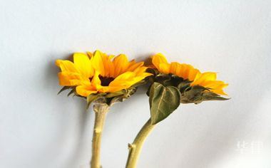 棚户区改造税收优惠政策