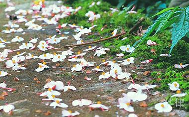 国有土地和集体土地在城市拆迁上有哪些不同点