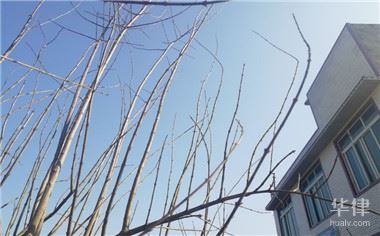 廉租房拆迁怎么补偿