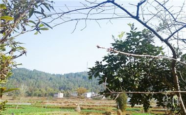 河北宅基地拆迁补偿