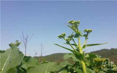 拆迁补偿和安置费有什么标准