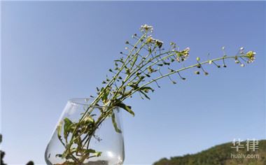 2019年拆迁补偿中山市的标准是怎样的