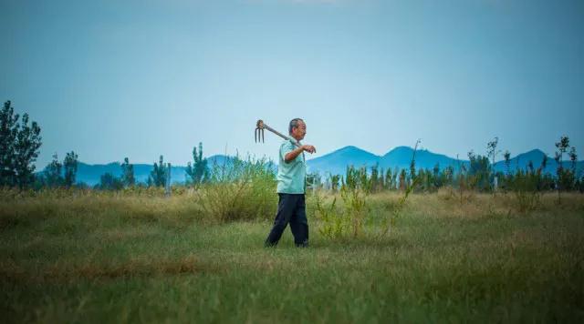 农村土地出租后,征地补偿款该归谁所有? 农村土地出租后,征地补偿款该归谁所有?