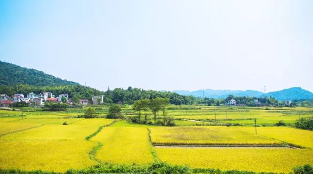 村改居后的士地属于国有土地还是集体土地? 村改居后的士地属于国有土地还是集体土地?