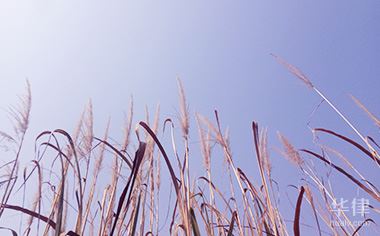 拆迁的是宅基地怎么补偿