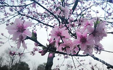 养殖场关闭禁养的拆迁补偿标准是多少