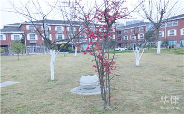 农村宅基地和房屋拆迁补偿标准是如何规定的