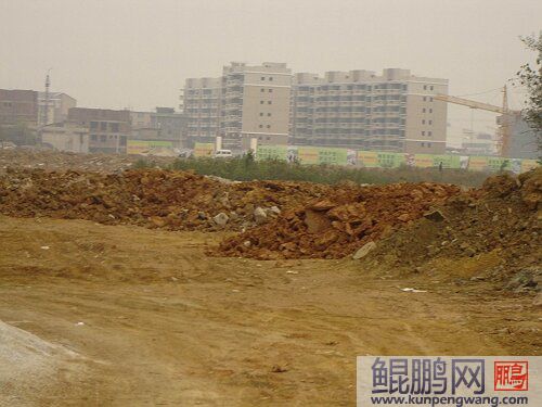 广西灵川县违法征地乱象调查