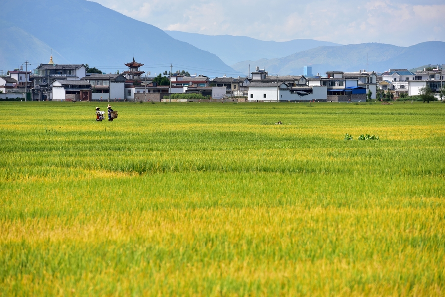 土地征用的合理补偿与征地补偿评估