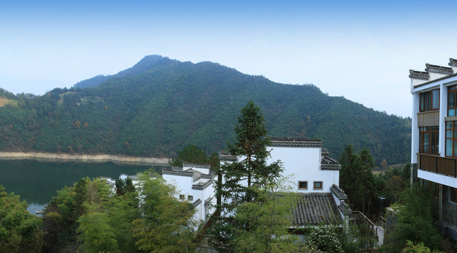 农村宅基地买卖的效力怎么认定