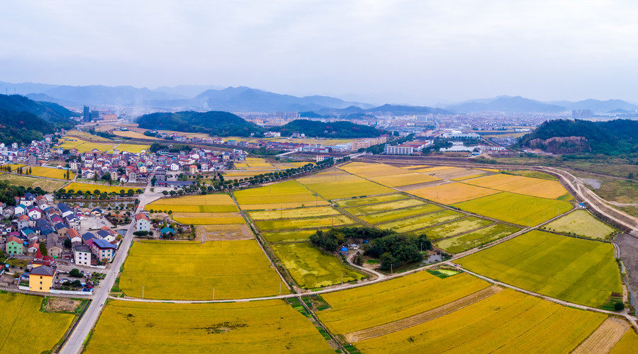 宅基地使用权证如何办理