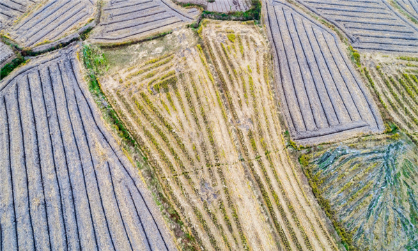 共有土地互换协议范本