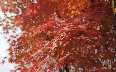 新土地法规定每一亩地多少钱